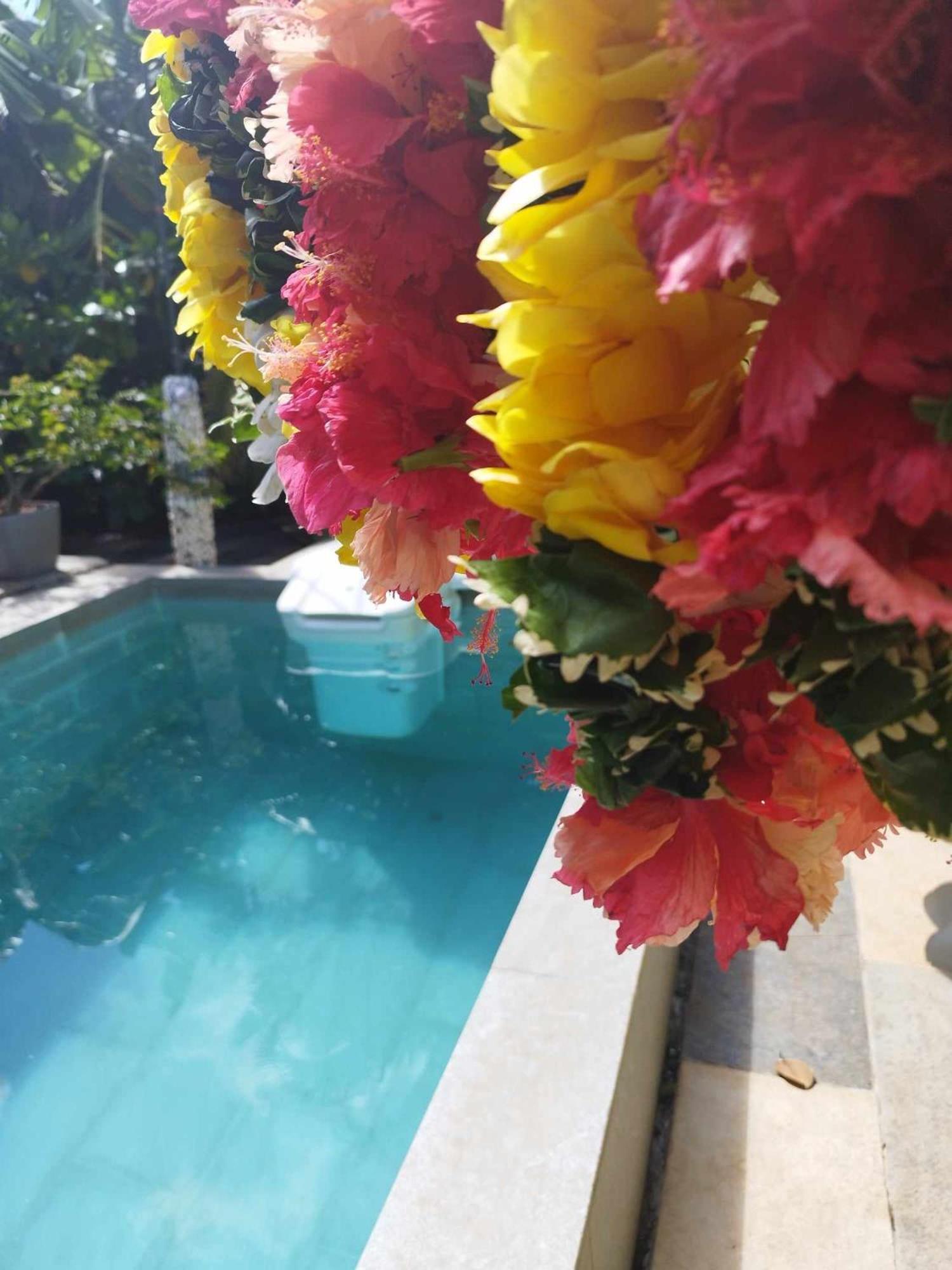 Homestay D'hotes Avec Piscine Petit Dejeuner Offert